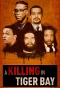 Миниатюра постера сериала A Killing in Tiger Bay