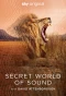 Миниатюра постера сериала Тайный мир звуков с Дэвидом Аттенборо (Secret World of Sound with David Attenborough)