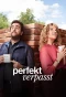 Миниатюра постера сериала Идеальное несовпадение (Perfekt Verpasst)
